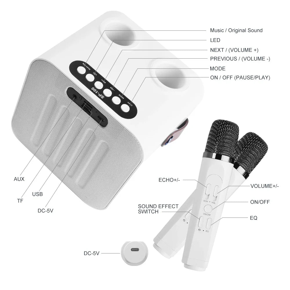 Best-Selling Karaoke Speaker Machine with Two Wireless Microphones & LED Screen，Minimum Order Quantity 2 Pieces