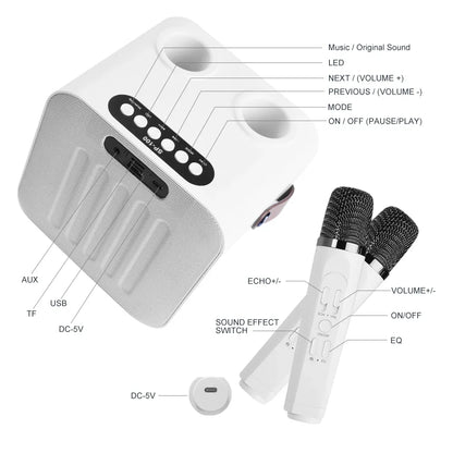 Best-Selling Karaoke Speaker Machine with Two Wireless Microphones & LED Screen，Minimum Order Quantity 2 Pieces