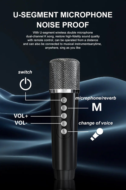 #LED Powerful Wireless Portable Dual Microphones Bluetooth 5.3 Speaker Hifi Stereo Family Party Karaoke Subwoofer Boombox gifts