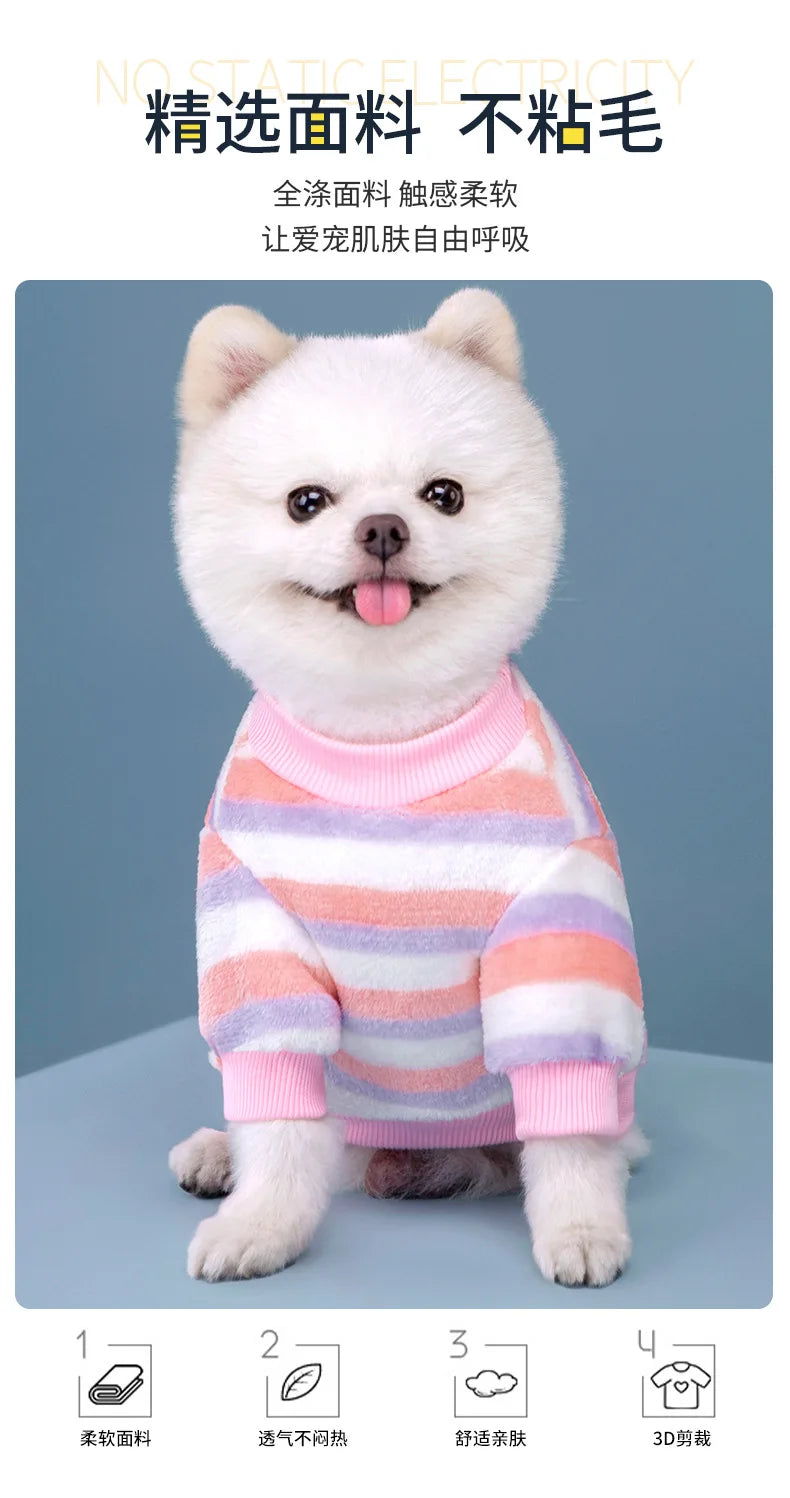 Vêtements pour animaux de compagnie à rayures arc-en-ciel d'automne et d'hiver, vêtements mignons et chauds pour chats en peluche, fournitures pour chiens, sweat à capuche pour chien, costume Schnauzer