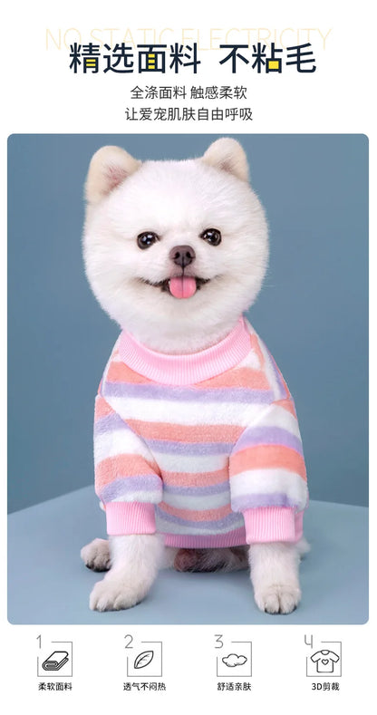 Vêtements pour animaux de compagnie à rayures arc-en-ciel d'automne et d'hiver, vêtements mignons et chauds pour chats en peluche, fournitures pour chiens, sweat à capuche pour chien, costume Schnauzer
