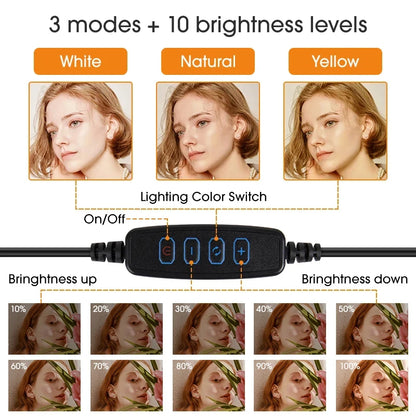 Lumière vidéo 26cm Selfie LED anneau lumineux réglable anneau rond lampe de remplissage avec support trépieds jante de lumière pour Tiktok maquillage Ringlight