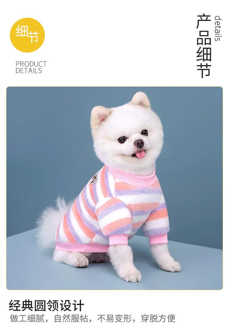 Vêtements pour animaux de compagnie à rayures arc-en-ciel d'automne et d'hiver, vêtements mignons et chauds pour chats en peluche, fournitures pour chiens, sweat à capuche pour chien, costume Schnauzer