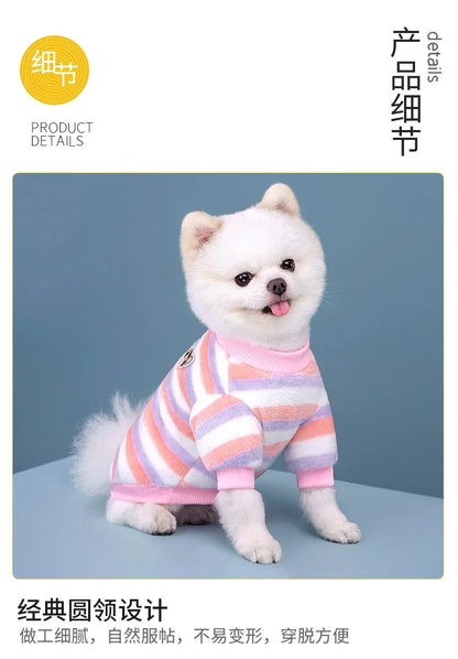 Vêtements pour animaux de compagnie à rayures arc-en-ciel d'automne et d'hiver, vêtements mignons et chauds pour chats en peluche, fournitures pour chiens, sweat à capuche pour chien, costume Schnauzer