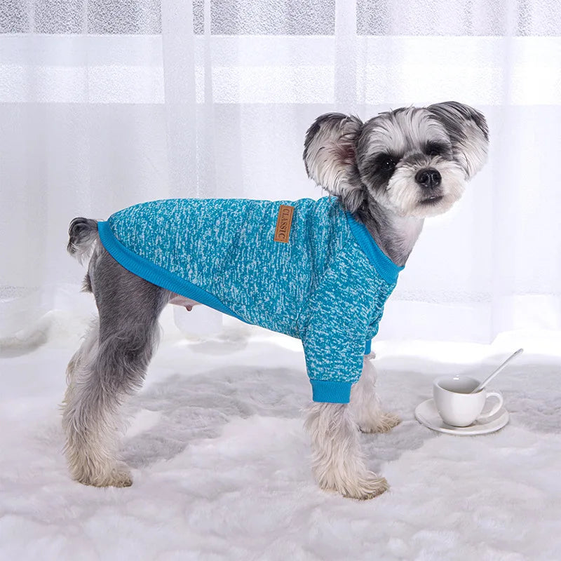 Veste d'hiver chaude pour chiots et chats, vêtements pour petits chiens, chihuahuas, schnauzers, carlins, sweat-shirts, costumes décontractés pour animaux de compagnie
