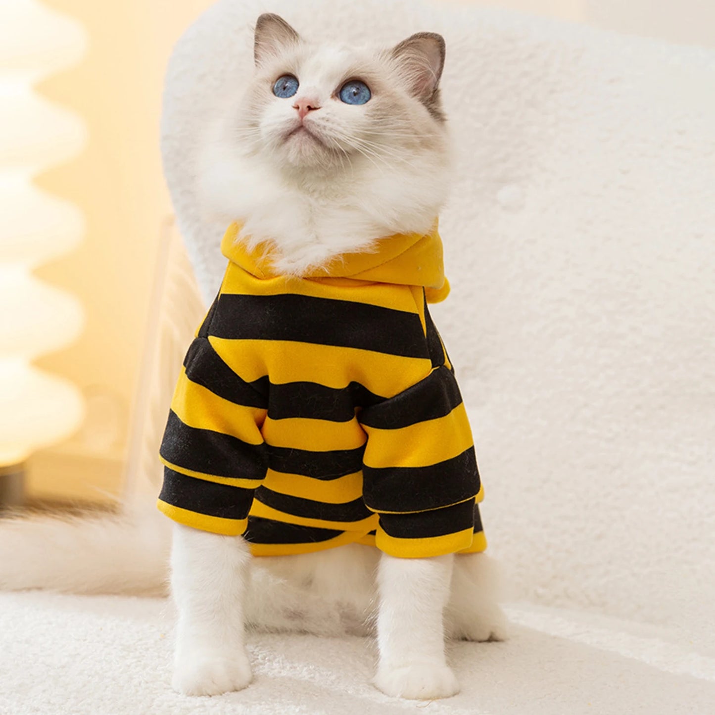 Costume de chat, abeille, costume d'Halloween, vêtements pour petits animaux, mode, adorables sweats à capuche pour chats