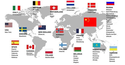 Chemise à manches longues à imprimé floral de cow-boy occidental pour le printemps et l'été, chemise à col pour homme en tissu doux et confortable