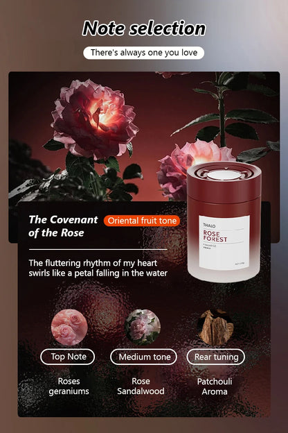 Aromathérapie légère spécifique aux voitures de luxe, élégante et fraîche, désodorisante et parfumée, aromathérapie automobile haut de gamme