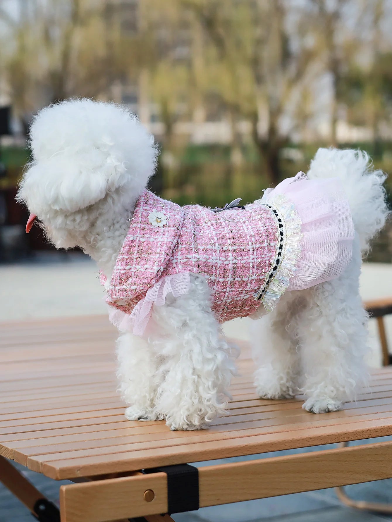 Vêtements pour chien : robe et veste de princesse, adaptés aux caniches, bichons maltais et yorkshires terriers, au printemps et en automne.