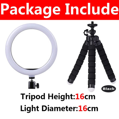 Lumière vidéo 26cm Selfie LED anneau lumineux réglable anneau rond lampe de remplissage avec support trépieds jante de lumière pour Tiktok maquillage Ringlight