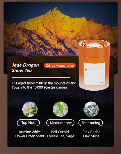 Aromathérapie légère spécifique aux voitures de luxe, élégante et fraîche, désodorisante et parfumée, aromathérapie automobile haut de gamme