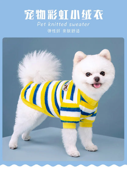 Vêtements pour animaux de compagnie à rayures arc-en-ciel d'automne et d'hiver, vêtements mignons et chauds pour chats en peluche, fournitures pour chiens, sweat à capuche pour chien, costume Schnauzer