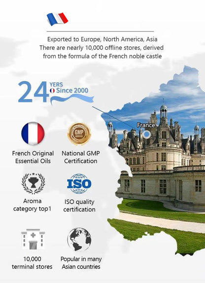 Aromathérapie légère spécifique aux voitures de luxe, élégante et fraîche, désodorisante et parfumée, aromathérapie automobile haut de gamme