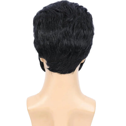 Perruque synthétique de légende du rock des années 50 et 60 pour homme, perruque Le King des années 1950, perruque de costume de chanteur rocker avec accessoires pour cosplay, fête d'Halloween