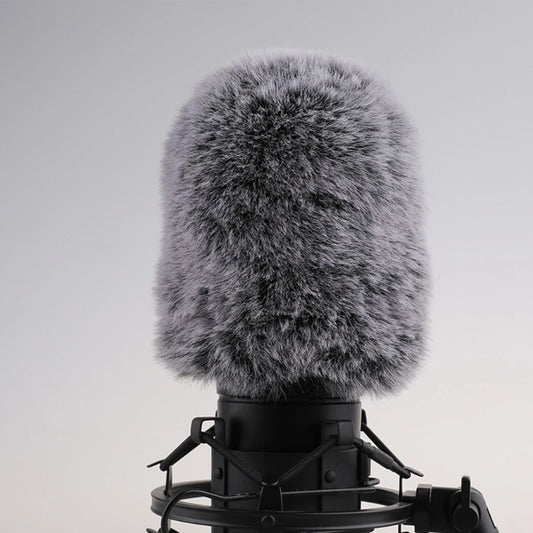 Bonnette anti-vent en fourrure pour microphone, protection anti-vent, filtre anti-pop pour microphone AT2020